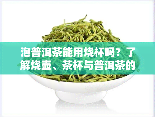 泡普洱茶能用烧杯吗？了解烧壶、茶杯与普洱茶的搭配