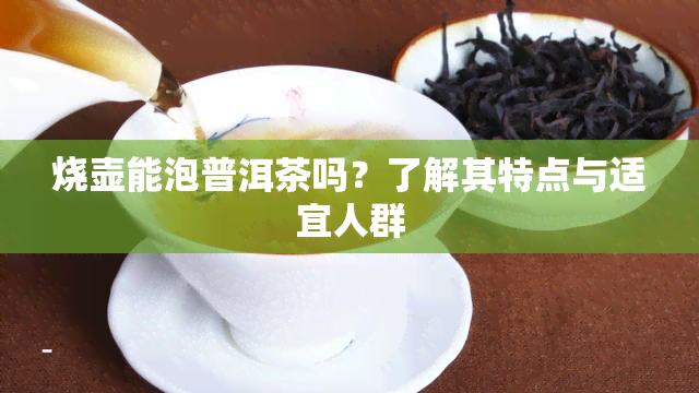 烧壶能泡普洱茶吗？了解其特点与适宜人群