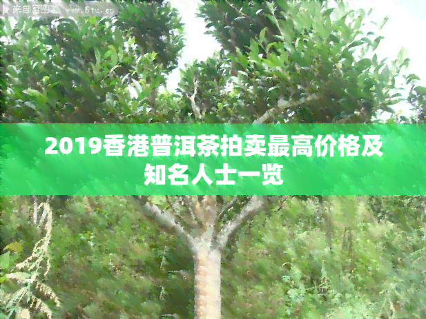 2019普洱茶拍卖更高价格及知名人士一览