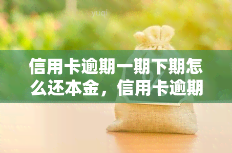 信用卡逾期一期下期怎么还本金，信用卡逾期一期，如何还款本金？