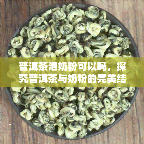 普洱茶泡奶粉可以吗，探究普洱茶与奶粉的完美结合：普洱茶泡奶粉可以吗？