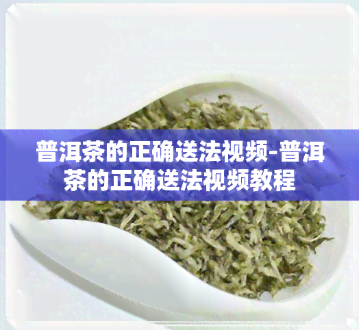 普洱茶的正确送法视频-普洱茶的正确送法视频教程