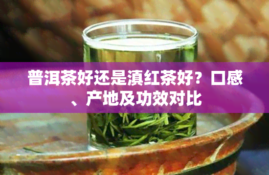 普洱茶好还是滇红茶好？口感、产地及功效对比