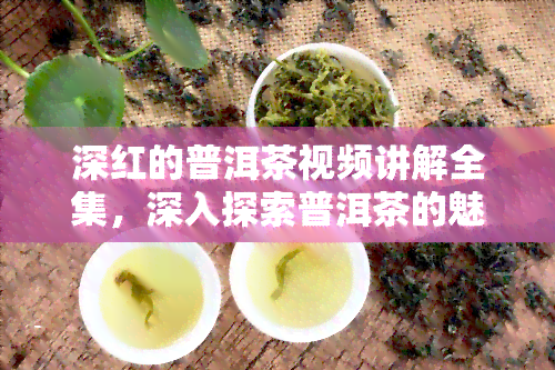 深红的普洱茶视频讲解全集，深入探索普洱茶的魅力：深红普洱茶视频讲解全集