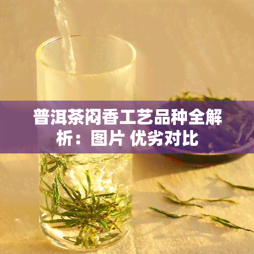 普洱茶闷香工艺品种全解析：图片 优劣对比