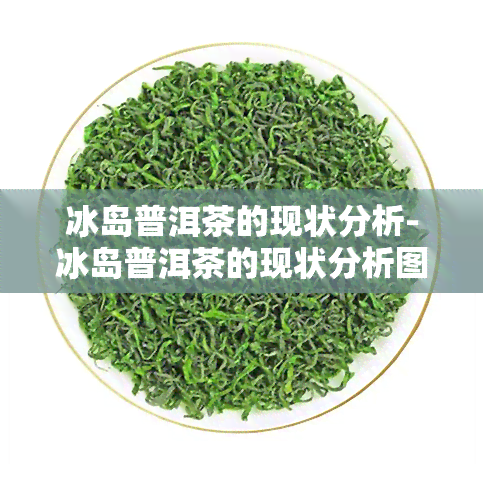 冰岛普洱茶的现状分析-冰岛普洱茶的现状分析图