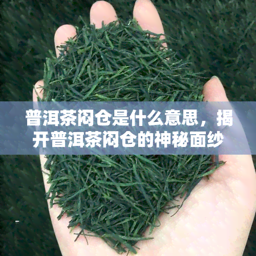 普洱茶闷仓是什么意思，揭开普洱茶闷仓的神秘面纱，了解其背后的含义和作用