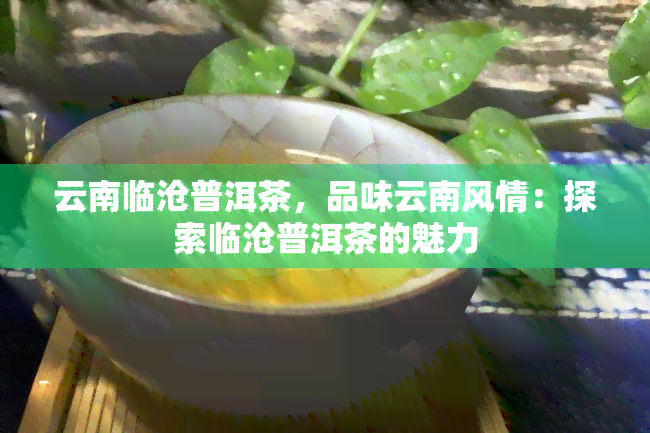 云南临沧普洱茶，品味云南风情：探索临沧普洱茶的魅力