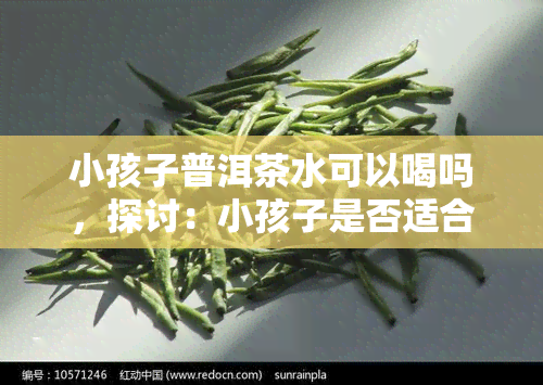 小孩子普洱茶水可以喝吗，探讨：小孩子是否适合饮用普洱茶水？