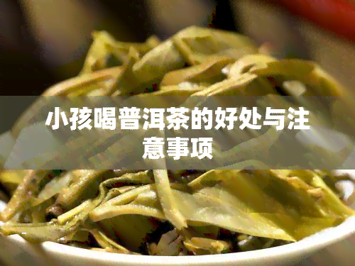 小孩喝普洱茶的好处与注意事项