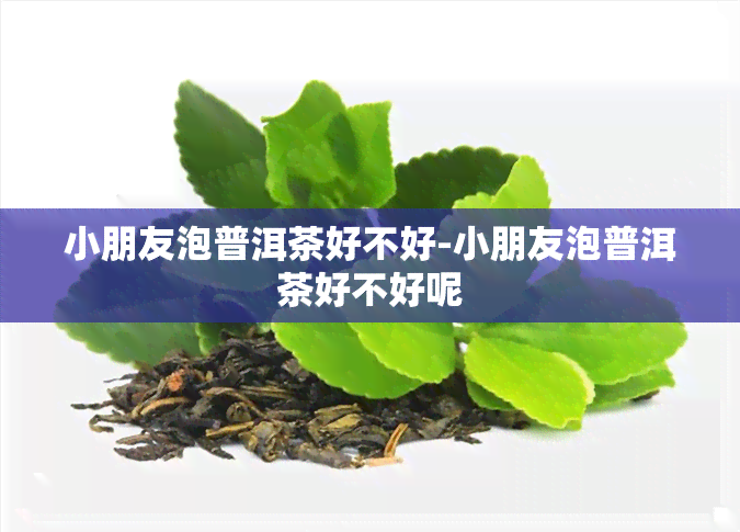 小朋友泡普洱茶好不好-小朋友泡普洱茶好不好呢