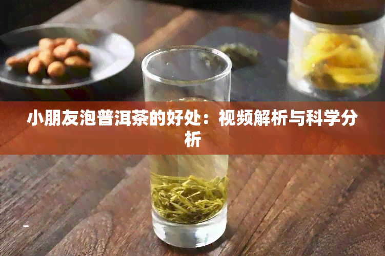 小朋友泡普洱茶的好处：视频解析与科学分析