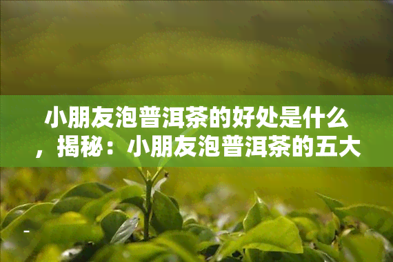 小朋友泡普洱茶的好处是什么，揭秘：小朋友泡普洱茶的五大好处！