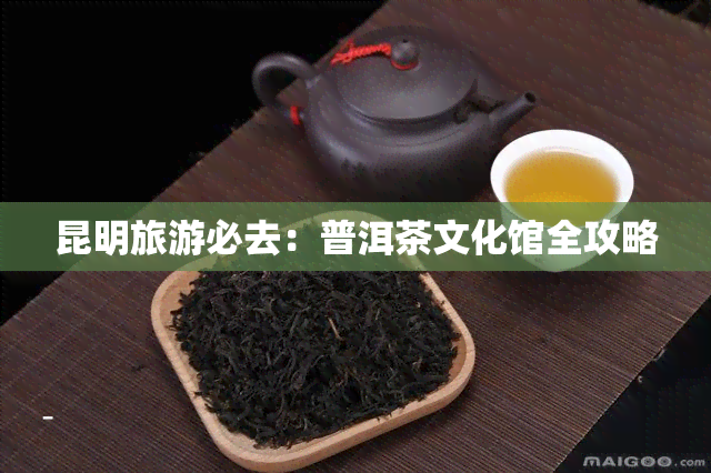 昆明旅游必去：普洱茶文化馆全攻略