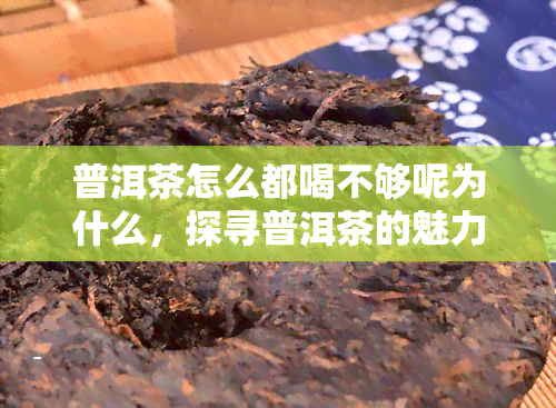 普洱茶怎么都喝不够呢为什么，探寻普洱茶的魅力：为何让人欲罢不能？