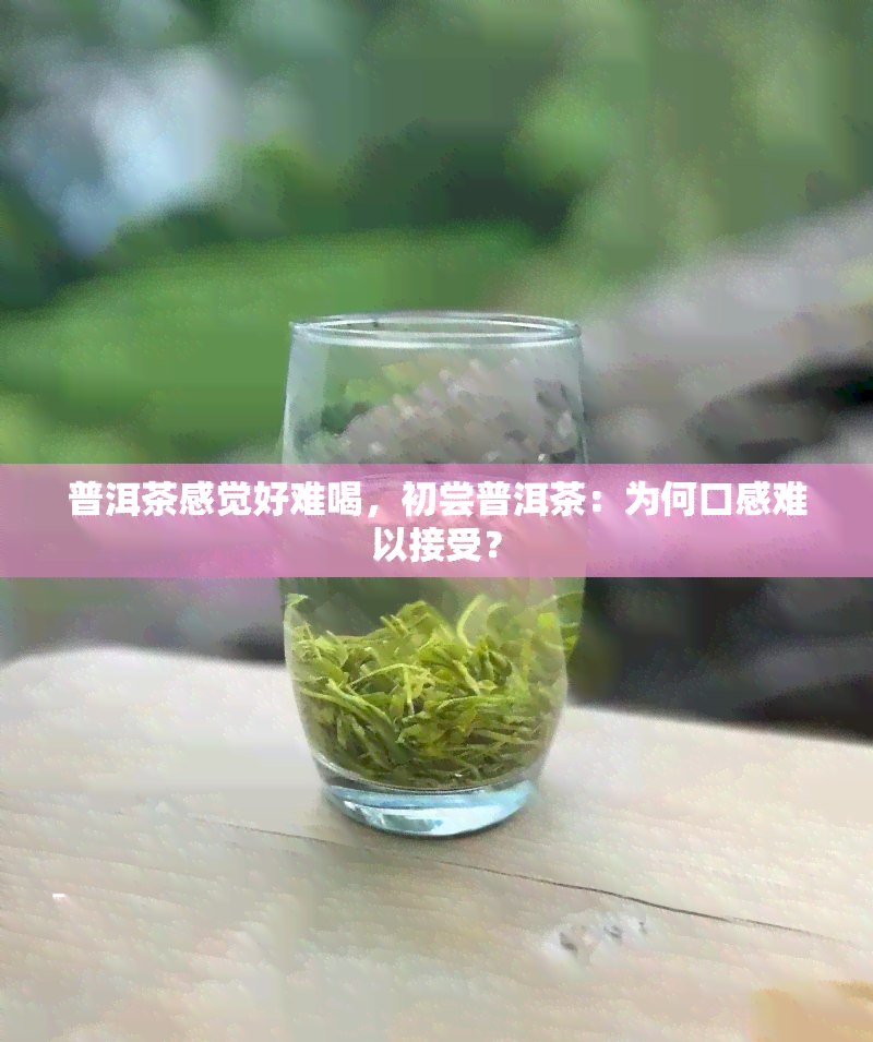 普洱茶感觉好难喝，初尝普洱茶：为何口感难以接受？