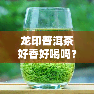 龙印普洱茶好香好喝吗？请分享你的评价！