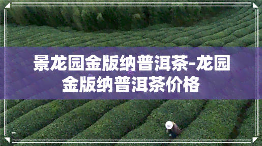 景龙园金版纳普洱茶-龙园金版纳普洱茶价格