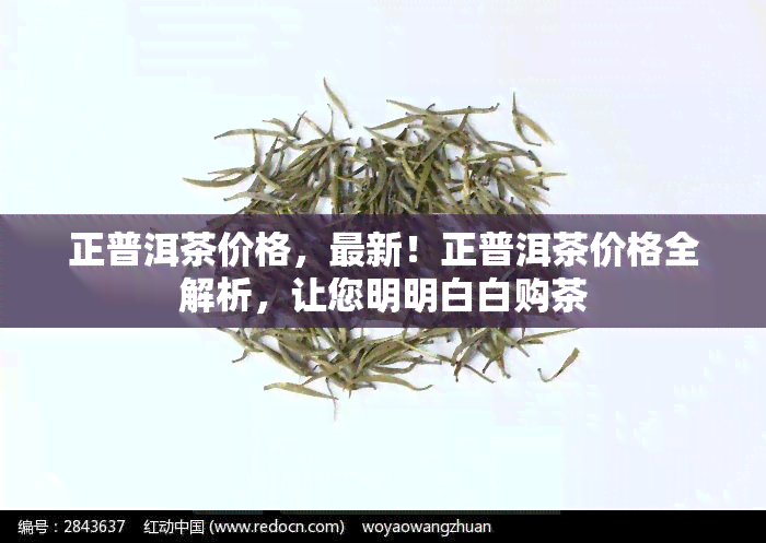 正普洱茶价格，最新！正普洱茶价格全解析，让您明明白白购茶