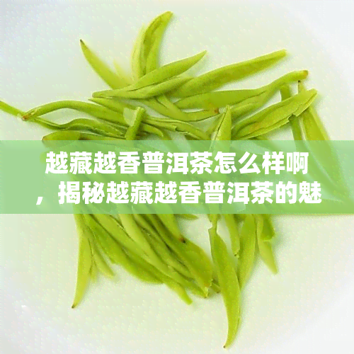 越藏越香普洱茶怎么样啊，揭秘越藏越香普洱茶的魅力，你值得拥有！