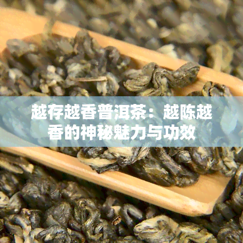 越存越香普洱茶：越陈越香的神秘魅力与功效