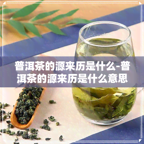 普洱茶的源来历是什么-普洱茶的源来历是什么意思