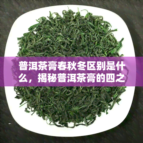 普洱茶膏春秋冬区别是什么，揭秘普洱茶膏的四之别：春秋冬有何不同？