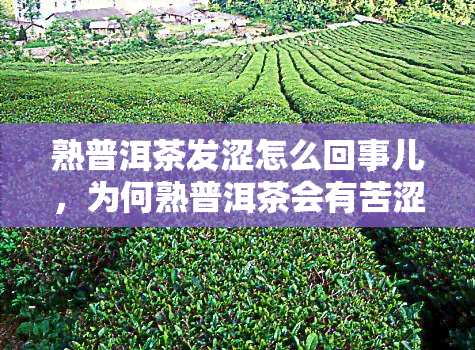 熟普洱茶发涩怎么回事儿，为何熟普洱茶会有苦涩口感？解析茶叶发涩的原因