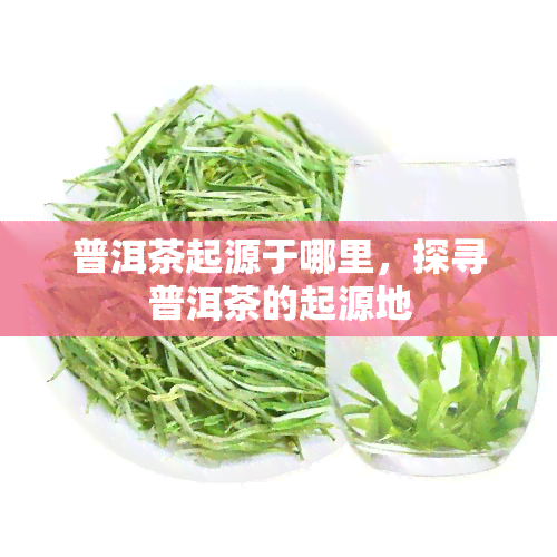 普洱茶起源于哪里，探寻普洱茶的起源地