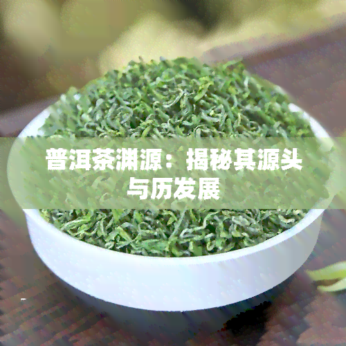 普洱茶渊源：揭秘其源头与历发展