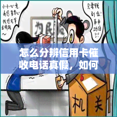 怎么分辨信用卡电话真假，如何辨别信用卡电话真伪？