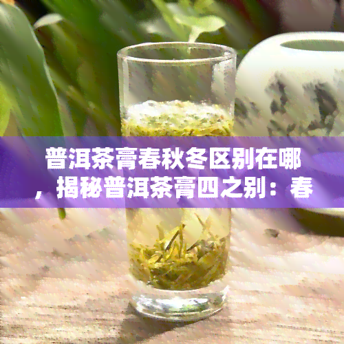 普洱茶膏春秋冬区别在哪，揭秘普洱茶膏四之别：春秋冬有何不同？