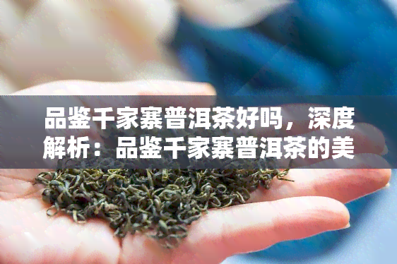 品鉴千家寨普洱茶好吗，深度解析：品鉴千家寨普洱茶的美妙体验