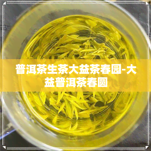 普洱茶生茶大益茶春园-大益普洱茶春圆