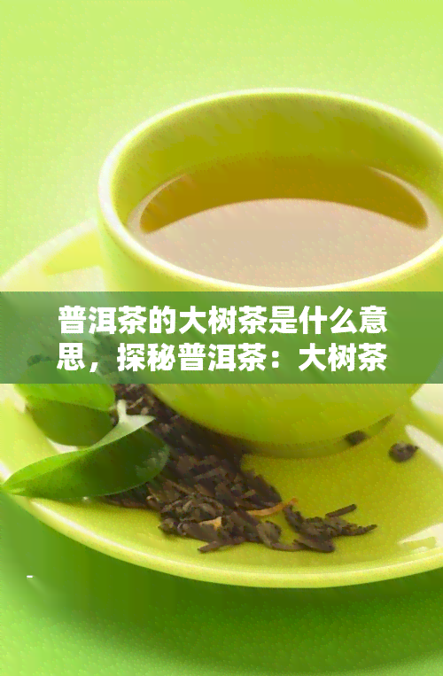 普洱茶的大树茶是什么意思，探秘普洱茶：大树茶的含义与特点