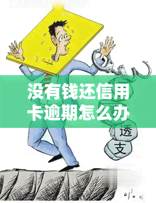 没有钱还信用卡逾期怎么办呢，没钱还信用卡逾期？教你应对办法！