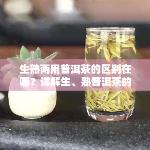 生熟两用普洱茶的区别在哪？详解生、熟普洱茶的功效及特点