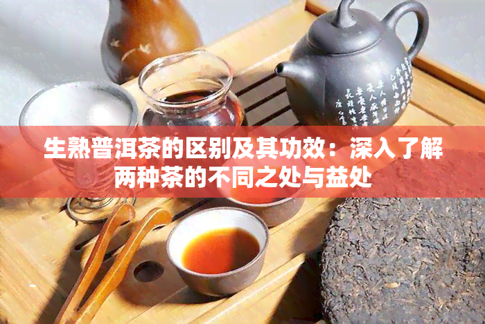 生熟普洱茶的区别及其功效：深入了解两种茶的不同之处与益处