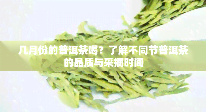 几月份的普洱茶喝？了解不同节普洱茶的品质与采摘时间