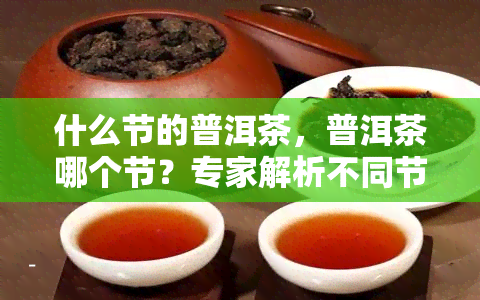 什么节的普洱茶，普洱茶哪个节？专家解析不同节普洱茶的特点和饮用建议