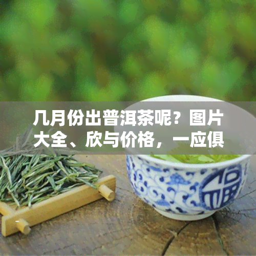 几月份出普洱茶呢？图片大全、欣与价格，一应俱全！了解普洱茶采摘月份，不容错过！