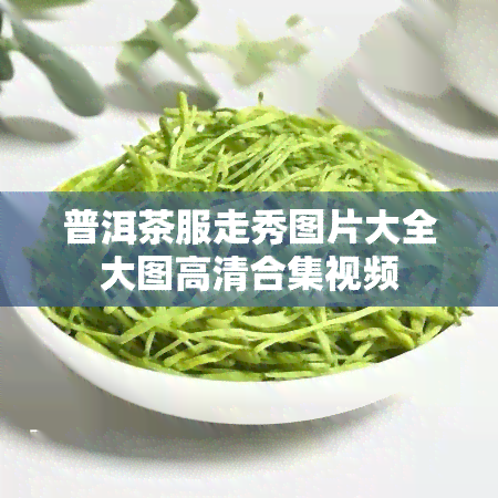 普洱茶服走秀图片大全大图高清合集视频