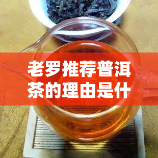 老罗推荐普洱茶的理由是什么？探究他为何爱这种茶叶