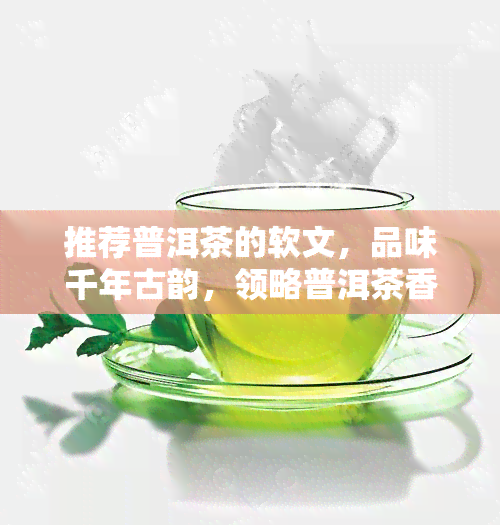 推荐普洱茶的软文，品味千年古韵，领略普洱茶香——让你爱上普洱的五大理由