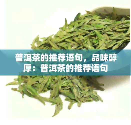 普洱茶的推荐语句，品味醇厚：普洱茶的推荐语句