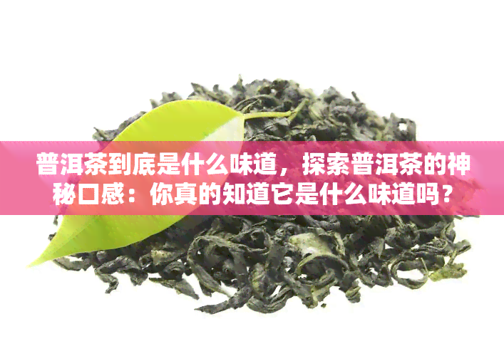 普洱茶到底是什么味道，探索普洱茶的神秘口感：你真的知道它是什么味道吗？