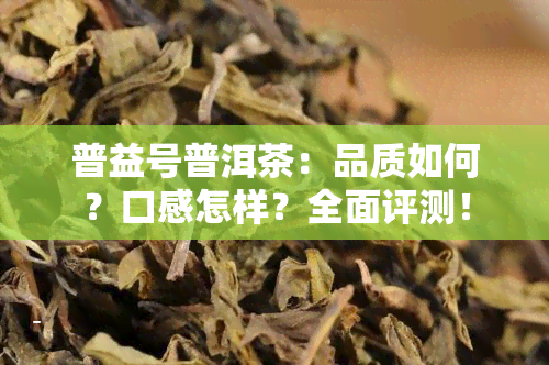 普益号普洱茶：品质如何？口感怎样？全面评测！