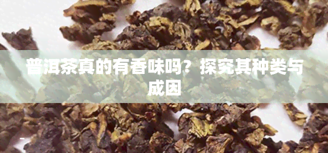 普洱茶真的有香味吗？探究其种类与成因