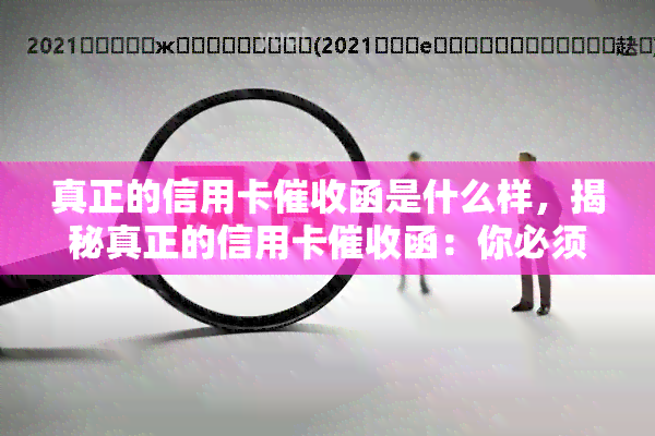 真正的信用卡函是什么样，揭秘真正的信用卡函：你必须知道的特征和细节