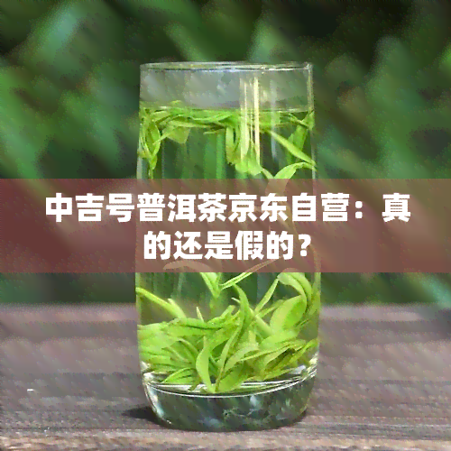 中吉号普洱茶京东自营：真的还是假的？